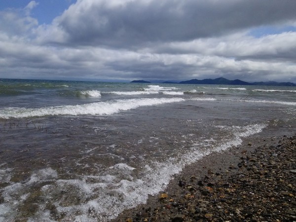 桜の咲く頃かな？