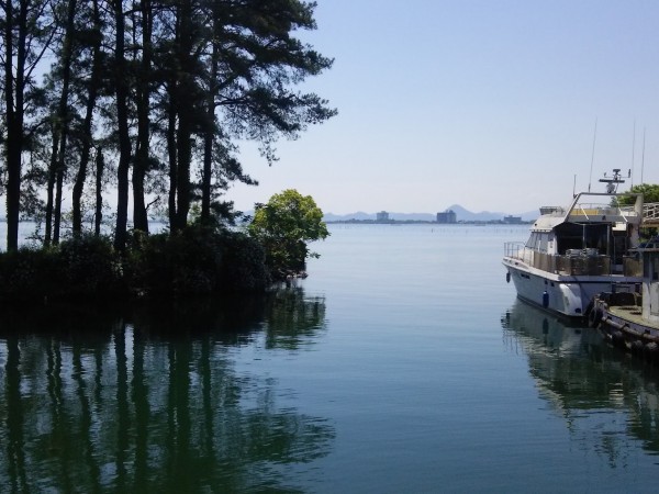 中潮で産卵始まる？