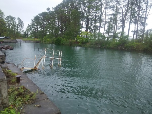 今日は雨やしこれでも見て下さい！！
