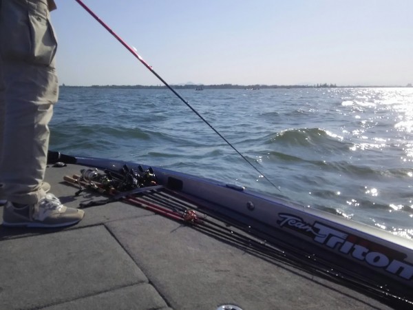 今日も風ビュービュー！！