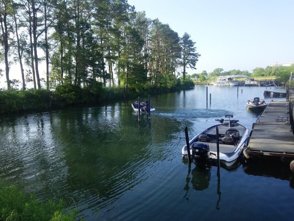 お久しぶりの陸っパリ！！