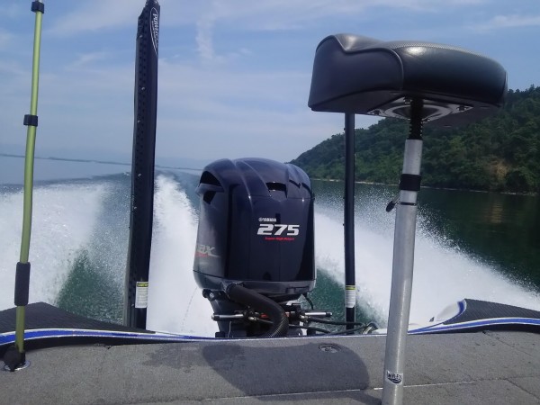 Friday Report（北湖）