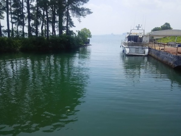 琵琶湖のアユ漁