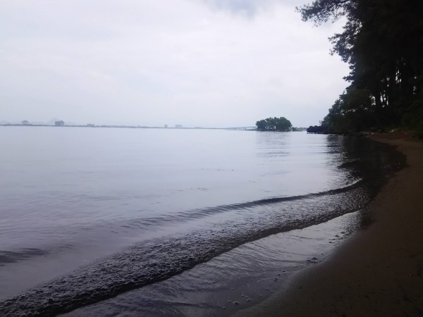 風はおさまったかな？