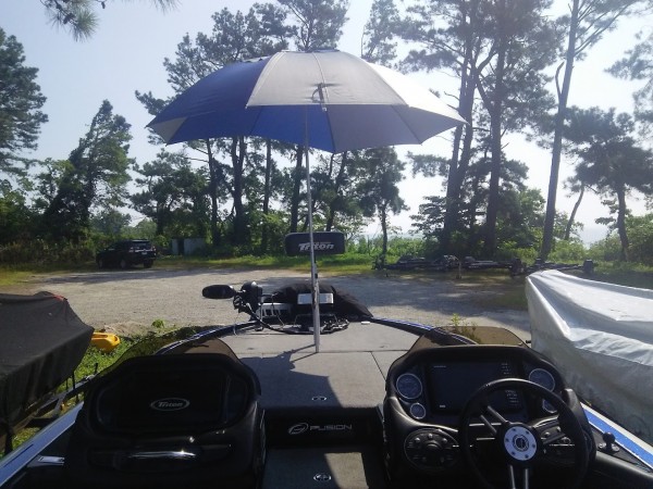 パラソル作戦！！