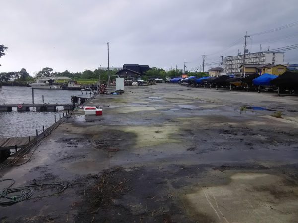 台風一過！！