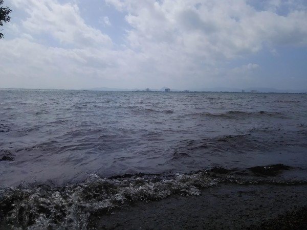 BWK BASS CLUB釣果情報