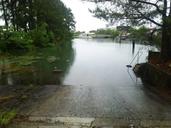 やっと小降りになって来ました