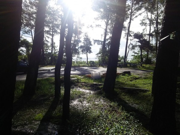 久しぶりに晴れて来ました。