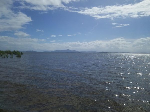 今週の琵琶湖は吹きますよ！！