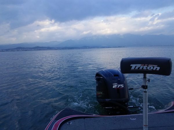 変化の一週間でした