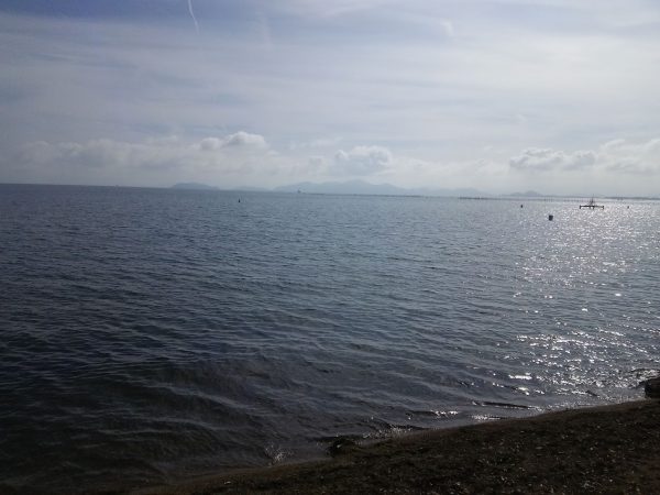 活性が上がって来てますね