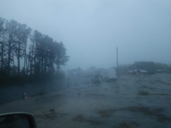 皆さんご無事ですか〜？！