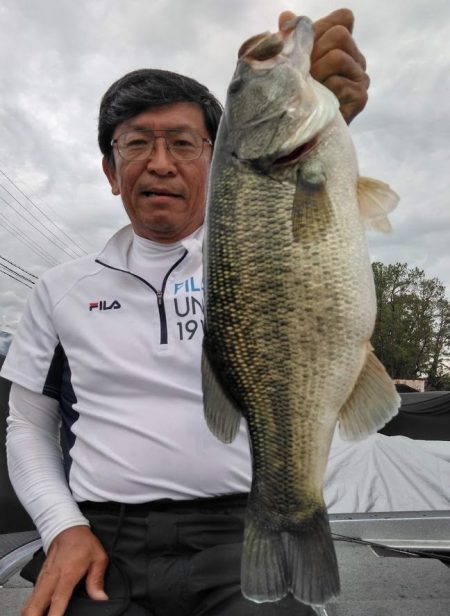 北湖の変化はめまぐるしい？！