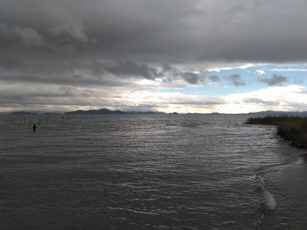 ムラはありますが