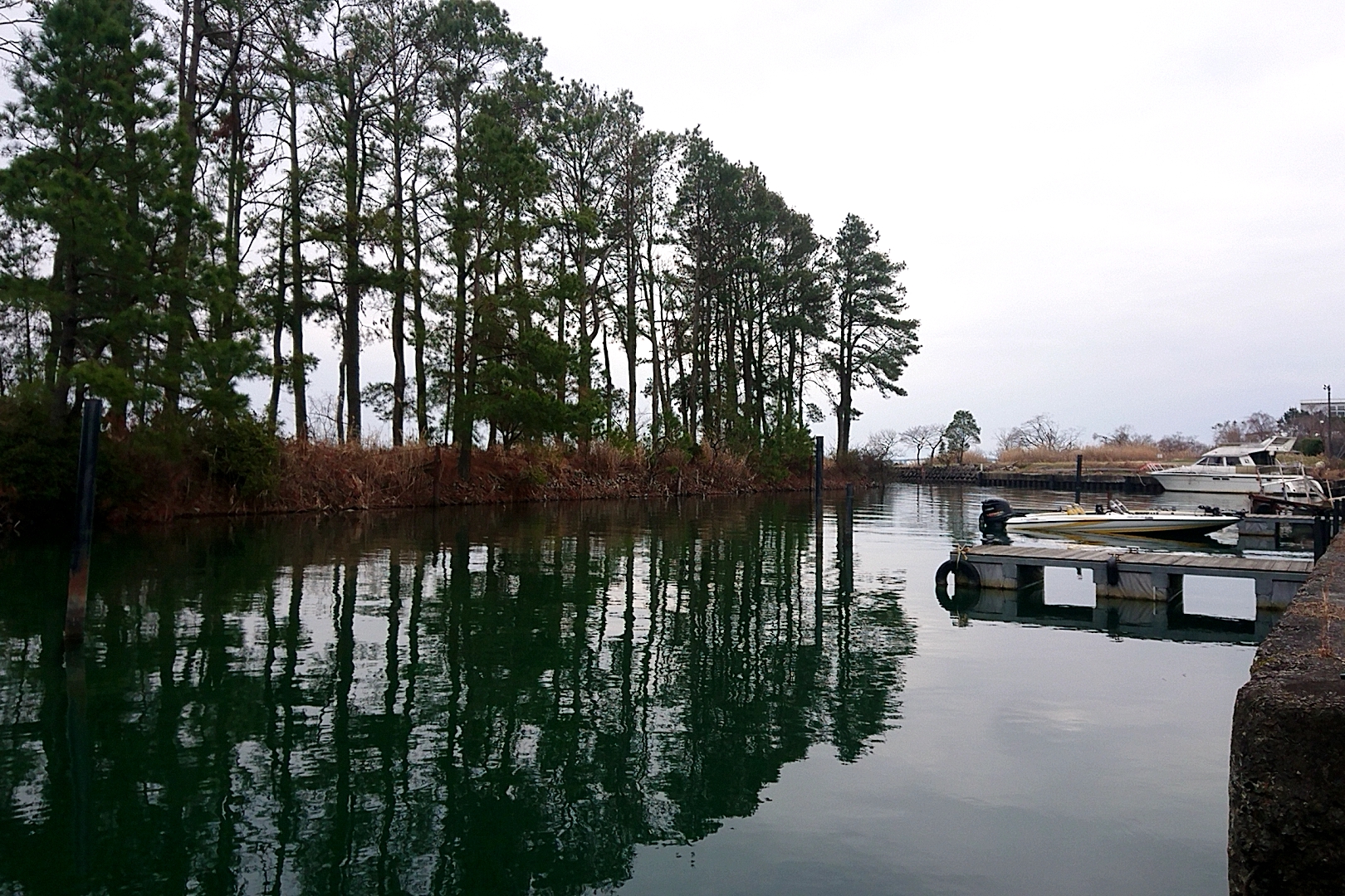 ３月３日日曜日