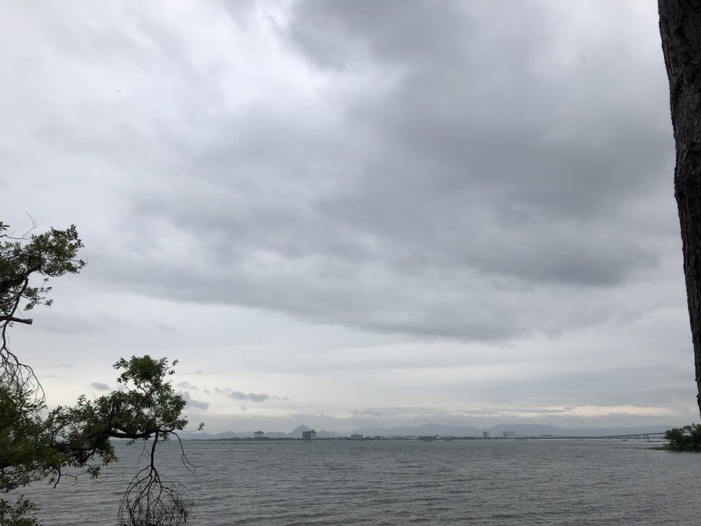 梅雨入り！！