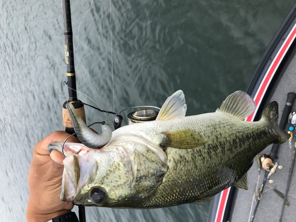 琵琶湖釣行！