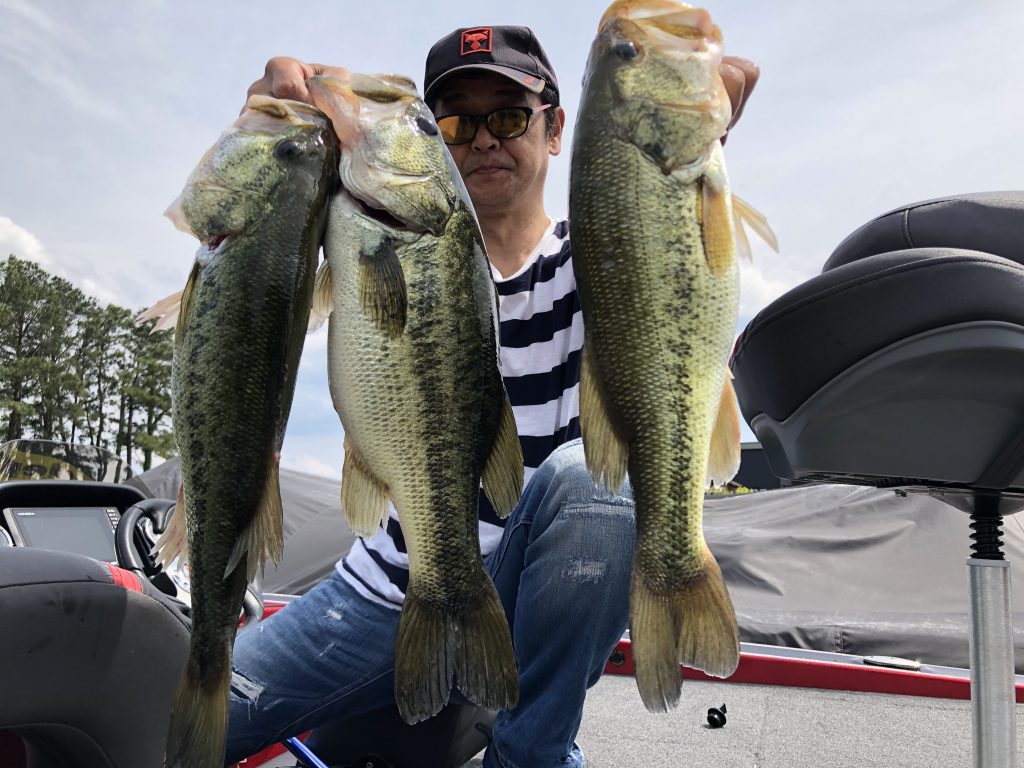 コブラインフォメーション