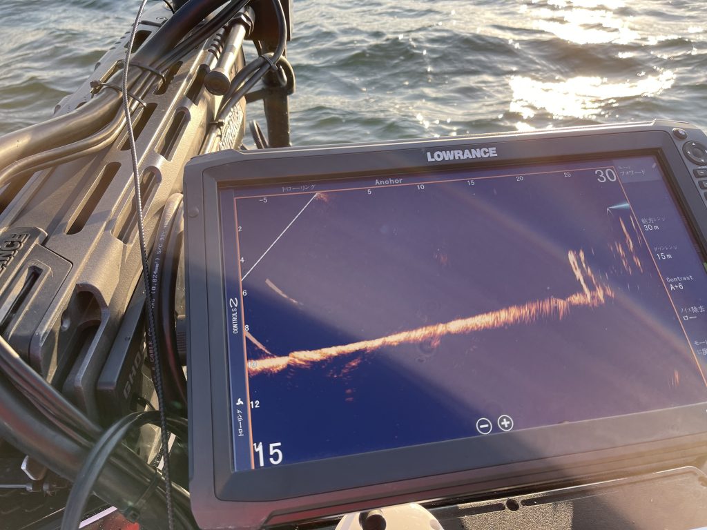 昨日の寒波からの