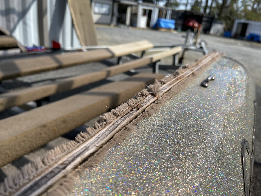 65㎝！？6キロ！？