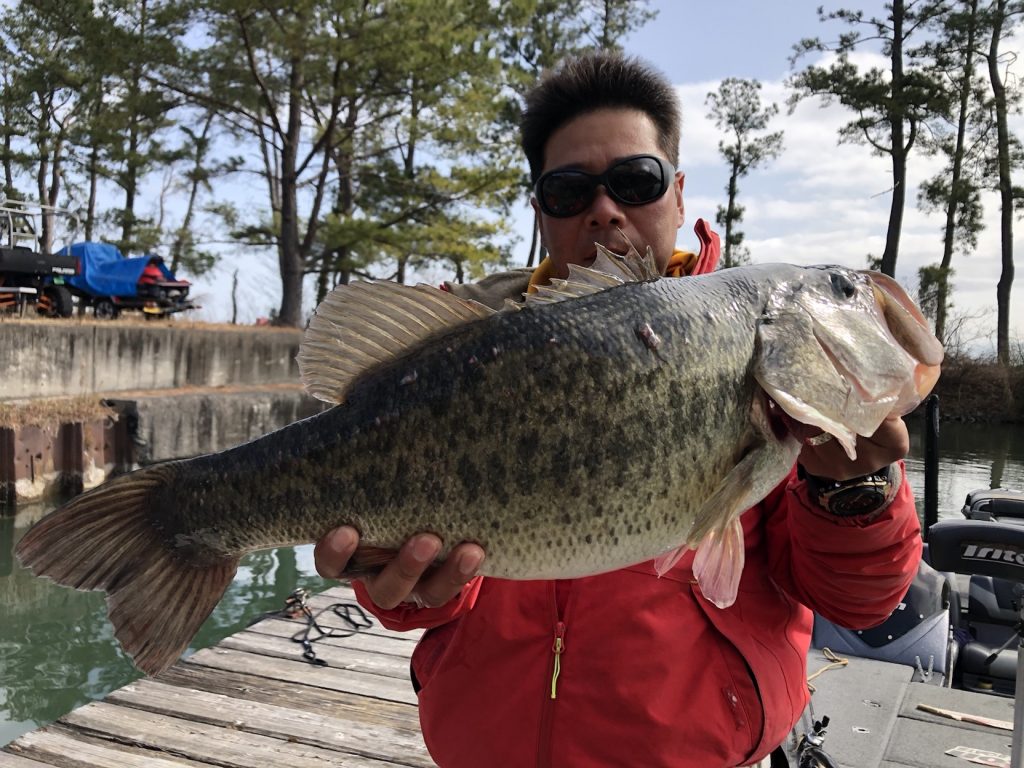 花粉シーズンともに？
