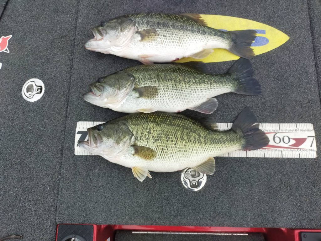 天気よすぎて…