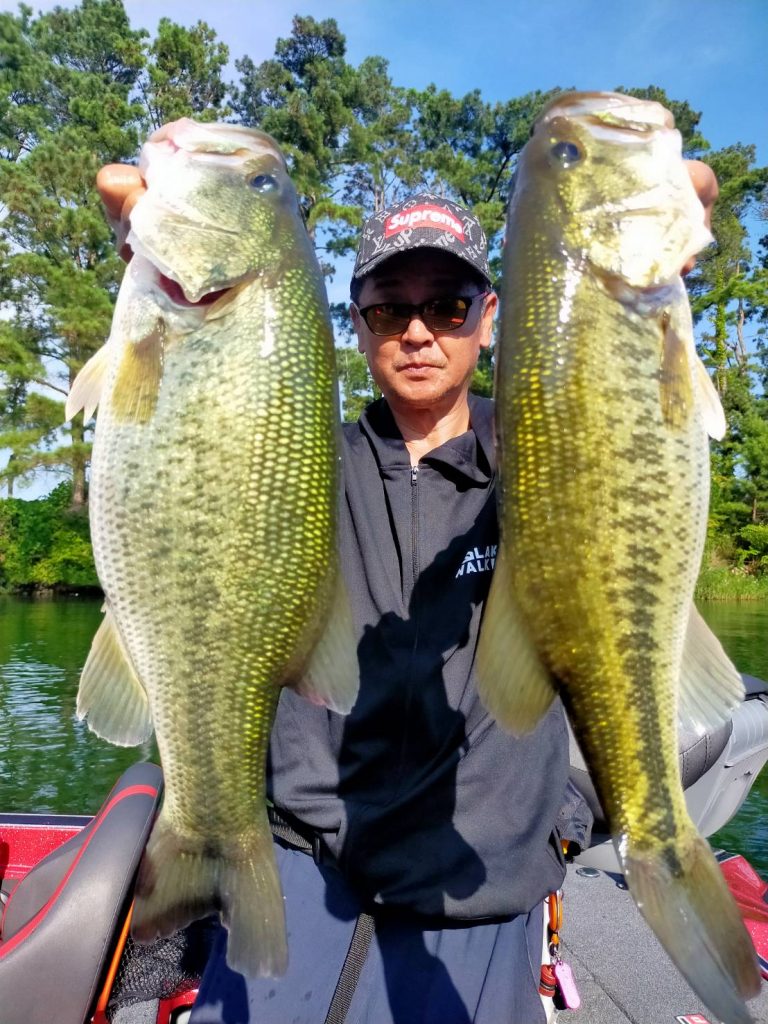 去年より暑い気が…。