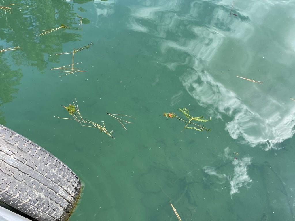 全休のお知らせ