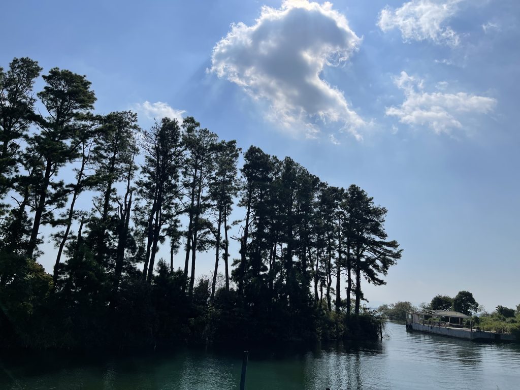 最高の天気！！