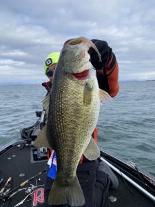 所さんやさかい