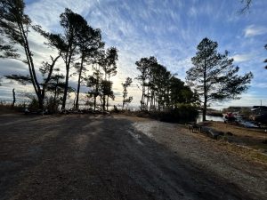 今年も等々。。。