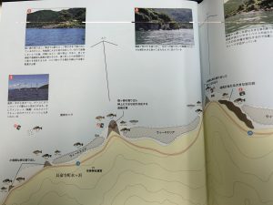 新着釣果情報‼️