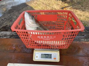 1発目の動き出し！！