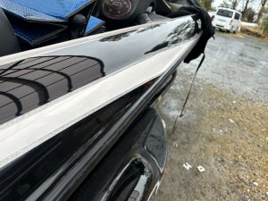 春がやってきました！