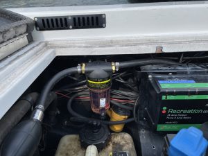 花粉パラダイス