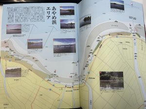 今週から凄く暖かいですね！